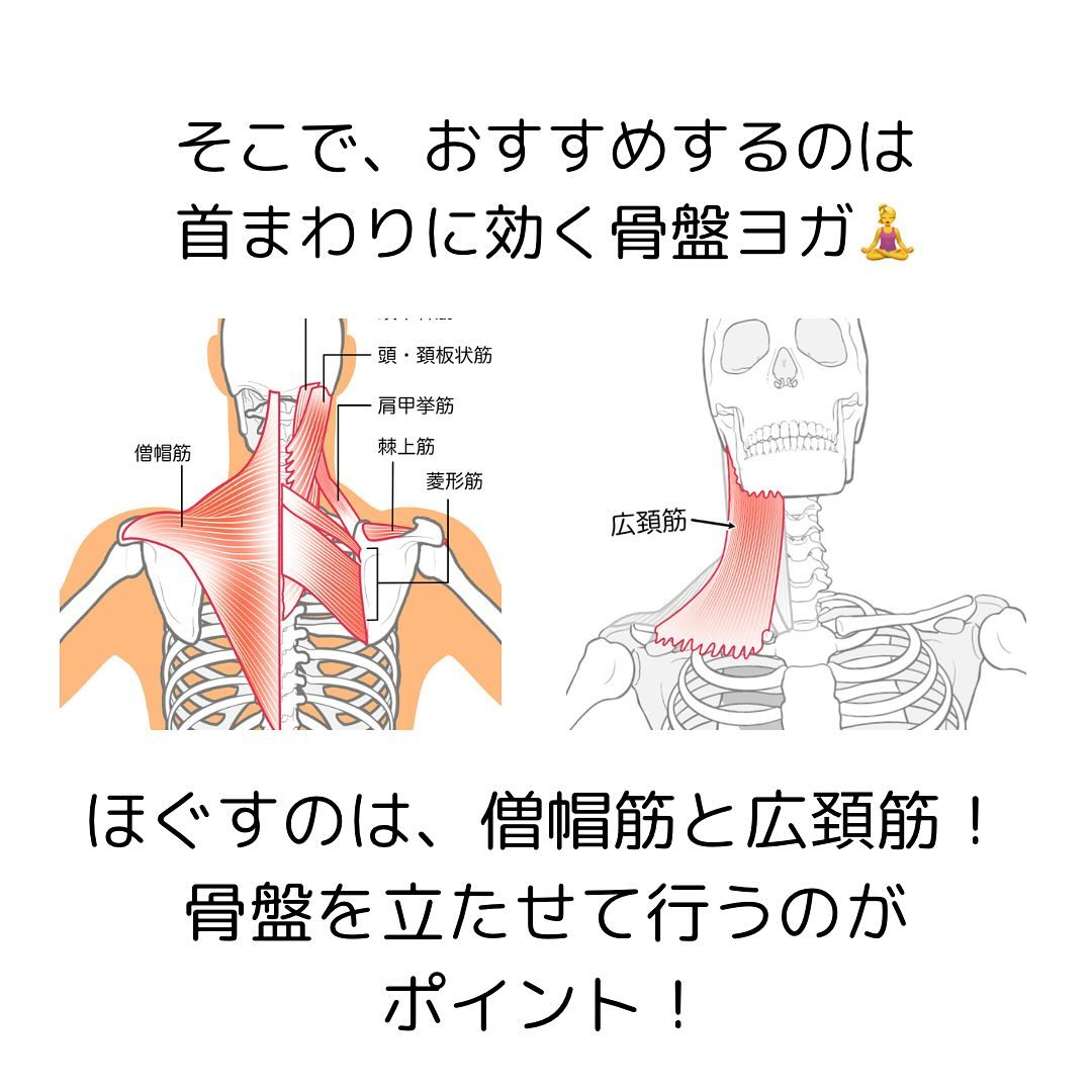 浜松市にあるヨガスタジオ、ビーヨギーです🧘‍♀️