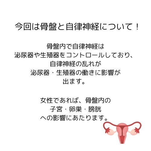 【30代から始める女性の骨盤と健康】