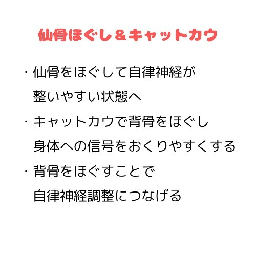 【30代から始める女性の骨盤と健康】