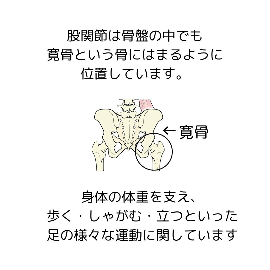 【30代から始める女性の骨盤と健康】