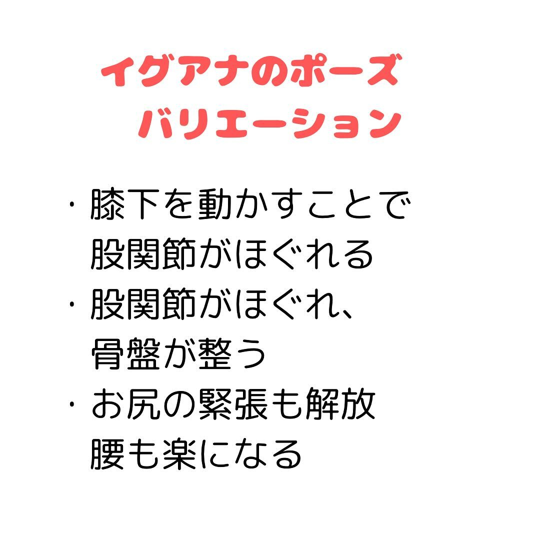 【30代から始める女性の骨盤と健康】