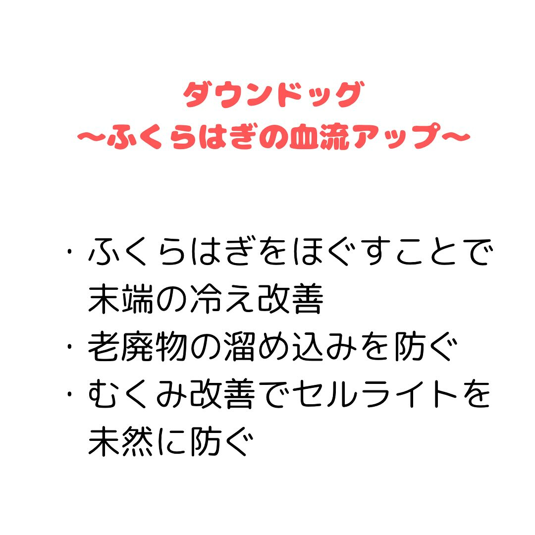 【30代から始める女性の骨盤と健康】