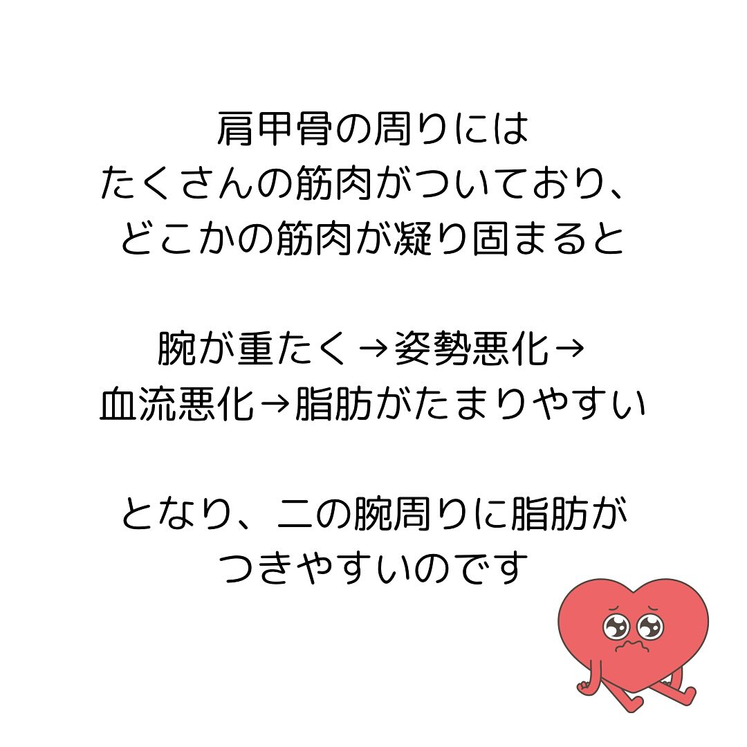 【30代から始める女性の骨盤と健康】