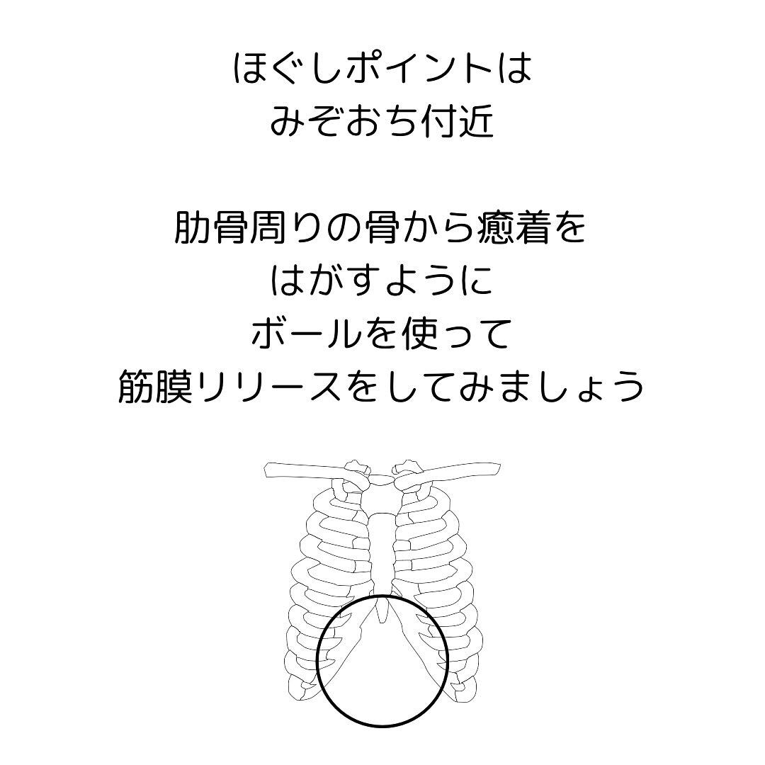 【30代から始める女性の骨盤と健康】