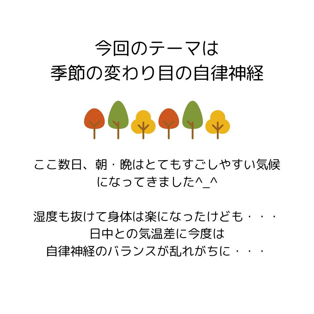 30代から始める女性の骨盤と健康